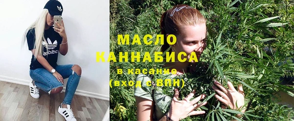 стаф Бородино