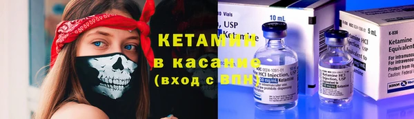 стаф Бородино