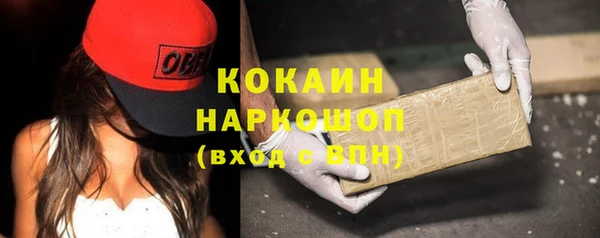 стаф Бородино