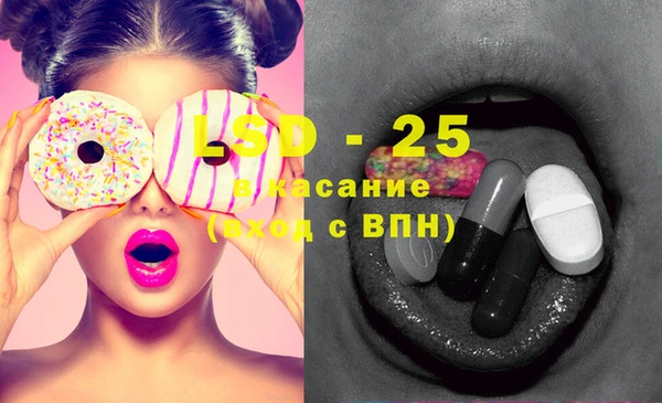 стаф Бородино