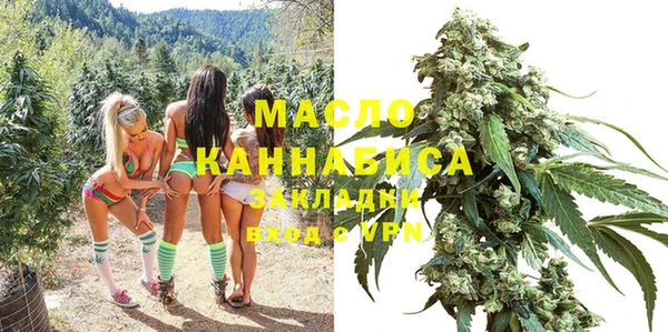 стаф Бородино