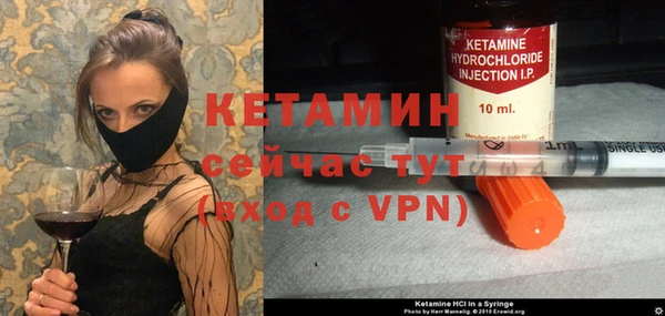 стаф Бородино