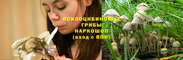 тгк Бронницы