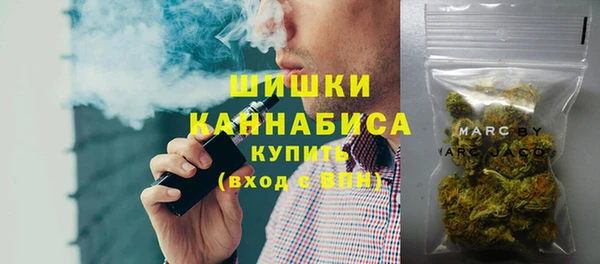 тгк Бронницы